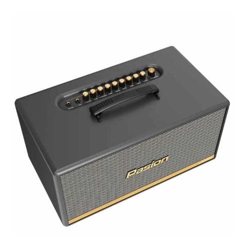 Loa Di Động Xách Tay Paramax PASION 2c (Màu Xám) 4 Hình ảnh Loa Di Động Xách Tay Paramax PASION 2c (Màu Xám)