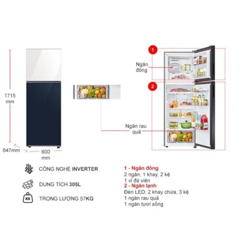 Kích thước tủ Lạnh 2 cánh Inverter 305 Lít Samsung RT31CB56248ASV