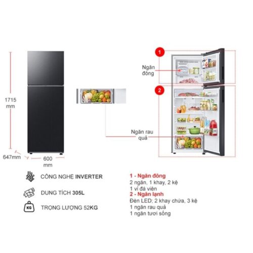 Kích thước tủ Lạnh 2 cánh Inverter 305 Lít Samsung RT31CG5424B1SV