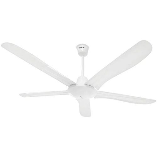 Quạt trần Rapido RCF-5W