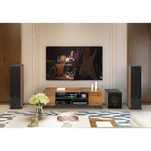 Hình ảnh Loa Nghe Nhạc và Karaoke Hi-Fi Paramax EURO 1002 Limited (Walnut)