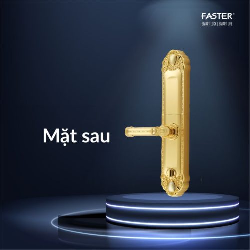 Mặt sau khóa thông minh Faster FS039-1-24K