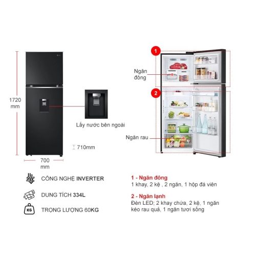 Bên trong tủ lạnh 2 cánh Inverter 334 lít LG LTD33BLM