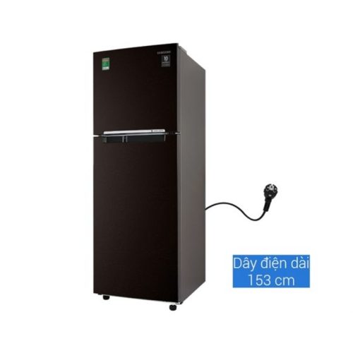 Hình Ảnh Tủ lạnh Samsung Inverter 236 lít RT22M4032BY/SV