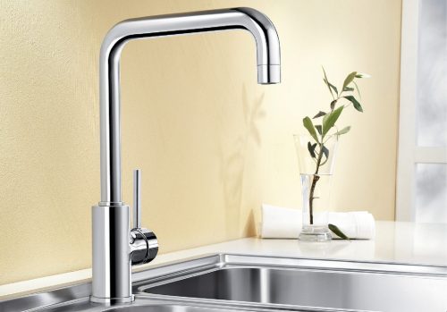 anhbia voi rua bat Blanco mili 519413