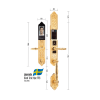Khóa đại sảnh - biệt thự mạ vàng 24K EL888 24K BRASS APP WIFI