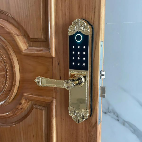 Khóa biệt thự dùng cho cửa phòng mạ vàng 24K EL280 BRASS 24K 4 sl280 24k brass 2